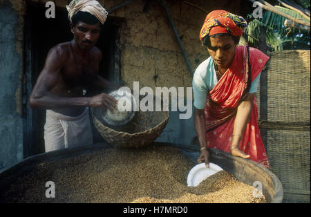 Indien Karnataka, Moodbidri, Reis, Landwirtschaft, Bauer und Frau Reis kochen Stockfoto