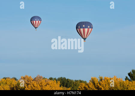 Heißluftballons über Herbst Pappeln.  Los Poblanos Freifläche, Albuquerque, New Mexico, USA. Stockfoto