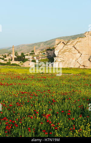 Türkei, Ost-Anatolien, Hasankeyf, geplant für die Überschwemmungen im Rahmen des Tigris River Ilisu Dam-Projekts Stockfoto