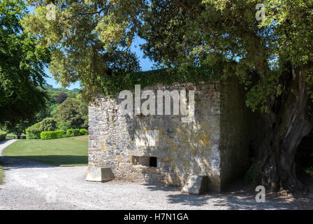 Eine Tudor Blockhaus gebaut ca. 1545, die Gebiete um Plymouth Sound zu schützen. Stockfoto