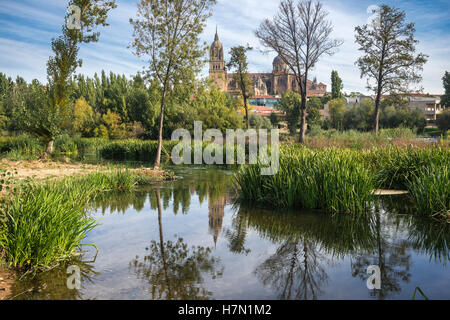 Kathedrale von Salamanca gesehen aus über den Fluss Tormes, Salamanca, Spanien. Stockfoto