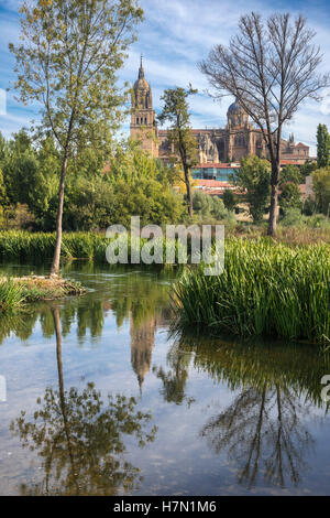 Kathedrale von Salamanca gesehen aus über den Fluss Tormes, Salamanca, Spanien. Stockfoto