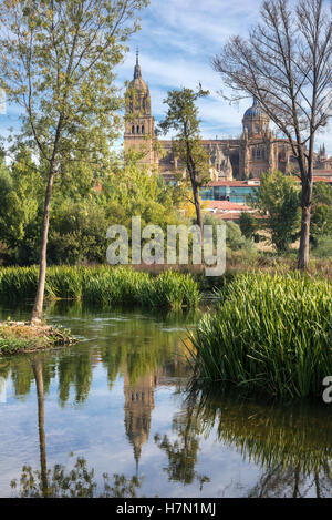 Kathedrale von Salamanca gesehen aus über den Fluss Tormes, Salamanca, Spanien. Stockfoto