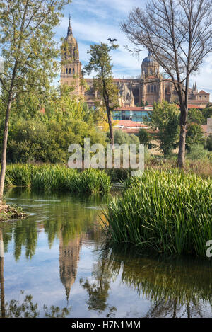 Kathedrale von Salamanca gesehen aus über den Fluss Tormes, Salamanca, Spanien. Stockfoto