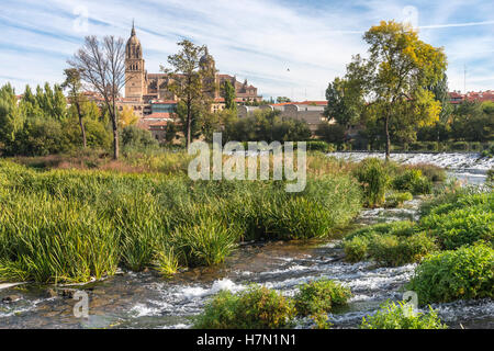 Kathedrale von Salamanca gesehen aus über den Fluss Tormes, Salamanca, Spanien. Stockfoto