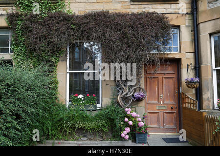 Edinburgh-Georgian House feine Fassaden Blick auf die Straße Stockfoto