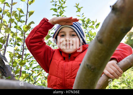 Junge von einem Baum zu erkunden Stockfoto