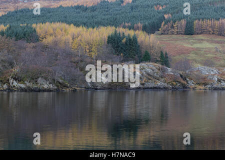 Reflexionen der Bäume am Loch Lubhair, Schottland im Herbst Stockfoto