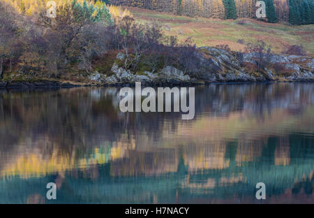 Reflexionen der Bäume am Loch Lubhair, Schottland im Herbst Stockfoto