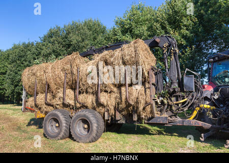 Landwirtschaftlichen Traktor mit Anhänger voller Runde Heuballen im Herbst Stockfoto