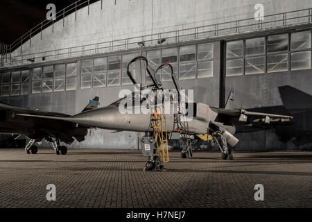 Sepecat Jaguar T2 der RAF Stockfoto