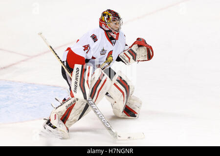 19. Januar 2012; San Jose, CA, USA; Ottawa Senators Torwart Craig Anderson (41) erwärmt sich vor dem Spiel gegen die San Jose Sharks im HP Pavilion. Ottawa besiegt San Jose 4-1. Stockfoto