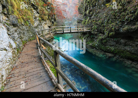 Vintgar-Schlucht in Slowenien Stockfoto