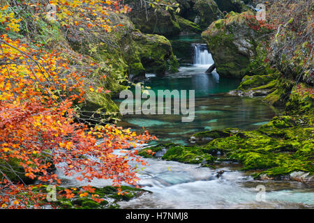 Wasserfall in Vintgar-Schlucht in Slowenien Stockfoto