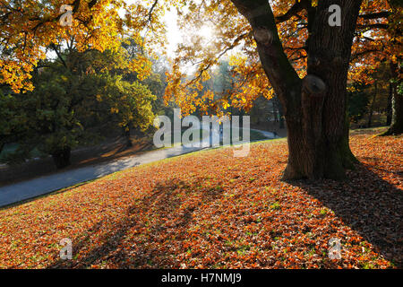 Zagreb Park Maksimir im Herbst Stockfoto