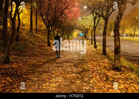 allein junge Mädchen zu Fuß unter Bäume Herbst auf der Straße spät in die Nacht Stockfoto