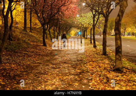 allein junge Mädchen zu Fuß unter Bäume Herbst auf der Straße spät in die Nacht Stockfoto