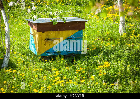 Bienengarten. Bienenstöcke in der Bee-Garten mit Bäumen und grünen Rasen im Sommer stehen. Stockfoto