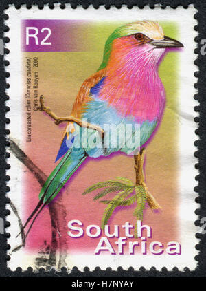 Südafrika - CIRCA 2000: Eine Briefmarke gedruckt in Südafrika, zeigt einen Vogel lila-Brested Roller (Coracias Caudata), circa 2000 Stockfoto