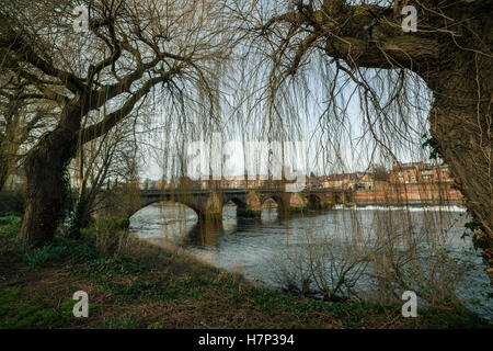 Chester, UK. 26. Januar 2016. Weidenruten Rahmen einen Blick auf die alte Dee Brücke von der Bank des Flusses Dee, Chester. Stockfoto