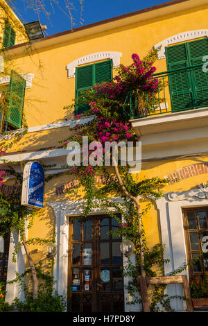 Restaurant und Bougainvillea. Monterosso al Mare, Riviera de Levanto, Fischerdorf, Cinque Terre. Genua. Mittelmeer. Stockfoto