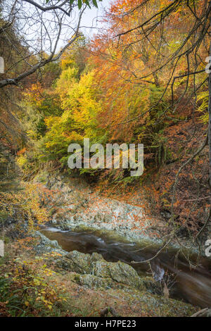 Felsen der Schlucht der Einsamkeit auf der North Esk River in Glen ESK Stockfoto