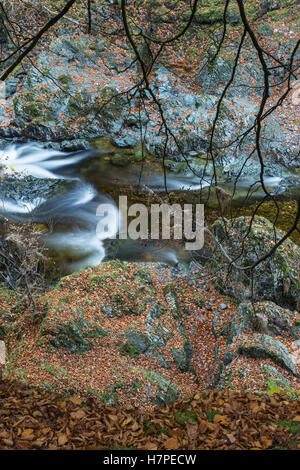 Felsen der Schlucht der Einsamkeit auf der North Esk River in Glen ESK Stockfoto