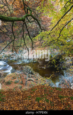 Felsen der Schlucht der Einsamkeit auf der North Esk River in Glen ESK Stockfoto