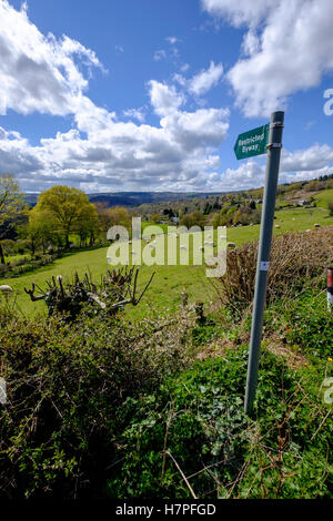 Wegweiser-Kennzeichnung "eingeschränkte Byway'across Feld in Hewelsfield in der Nähe von Wye Valley und Forest of Dean Gloucestershire, England. Stockfoto