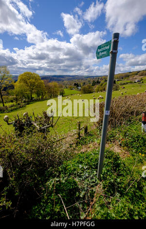 Wegweiser-Kennzeichnung "eingeschränkte Byway'across Feld in Hewelsfield in der Nähe von Wye Valley und Forest of Dean Gloucestershire, England. Stockfoto