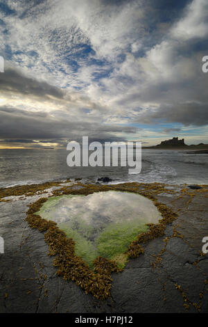 Felsenpool mit Bamburgh Castle im Hintergrund Bamburgh Northumberland in Herzform Stockfoto