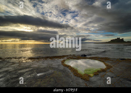 Felsenpool mit Bamburgh Castle im Hintergrund Bamburgh Northumberland in Herzform Stockfoto