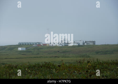 Alaska, Aleuten-Inselkette, Attu Island. Der westlichste Punkt in den USA. Stockfoto