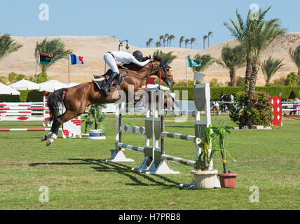 Pferd und Reiter Wettbewerb in einem Pferdesport Springreiten Sport Wettbewerb Sprung über Hürde im Freien Stockfoto