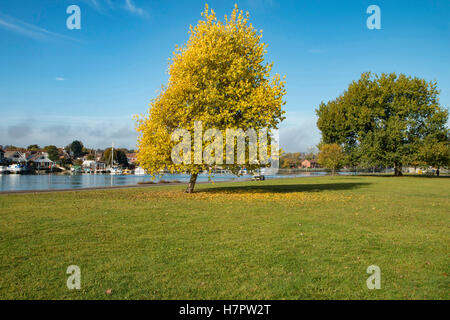 Riverside Park, Bitterne Park, Southampton verläuft entlang dem Fluss Itchen mehrere Meilen Stockfoto