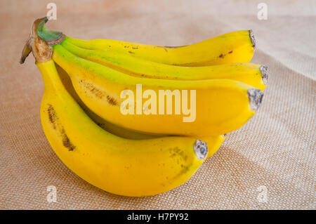 Bündel Bananen. Stockfoto