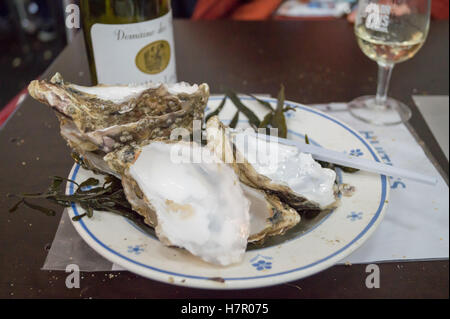 Eine fertige Platte Vendée Atlantique Austern, Salon des Vins Weinmesse, Toulouse, Haute-Garonne, Occitanie, Frankreich Stockfoto