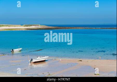 Alderney Küste bei Ebbe Stockfoto