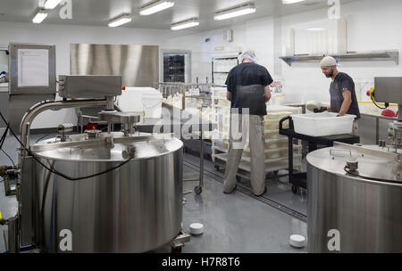 Lokalen Maryland Käser, FireFly Creamery, Unfall, Maryland, USA FireFly Creamery, Unfall, Maryland, USA Stockfoto