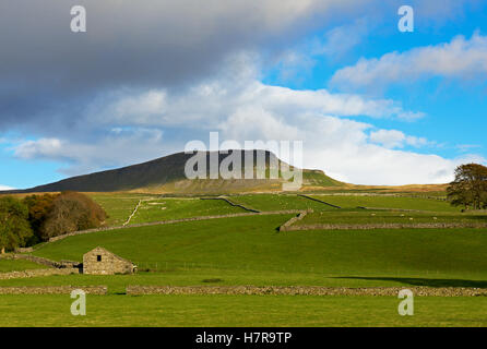 Pen-y-Gent, eines Yorkshire drei Zinnen, Yorkshire Dales National Park, North Yorkshire, England UK Stockfoto