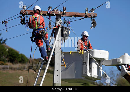 macht Mitarbeiter auf Leiter und in eine Hubarbeitsbühne Hebebühne ersetzen Hochspannung Stromkabel Stockfoto