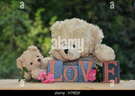 Zwei weiße Teddybären mit Liebe Steinen gegen grüne Natur Hintergrund und rosa Rosen Stockfoto