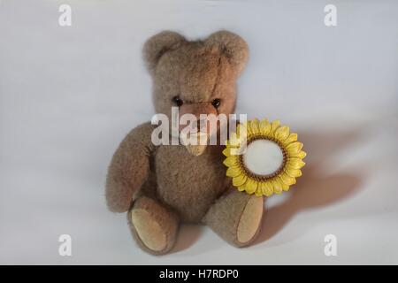 Teddy Bär sitzt auf einem weißen Hintergrund und Sonnenblumen Rahmen in der hand hält Stockfoto