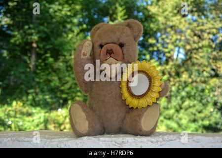 Teddybär sitzt auf einer weißen Wand vor grünen Hintergrund und Sonnenblumen Rahmen in der hand hält Stockfoto