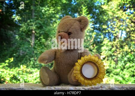 Teddybär sitzt auf einer weißen Wand vor grünen Hintergrund und Sonnenblumen Rahmen in der hand hält Stockfoto