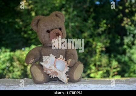 Teddy Bär sitzt auf einer weißen Wand Grün Natur Hintergrund und Muschel in der hand hält Stockfoto