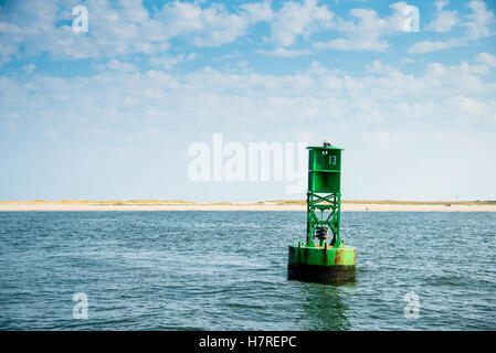 Grüne Navigation Boje in Sandy Hook, New Jersey Stockfoto