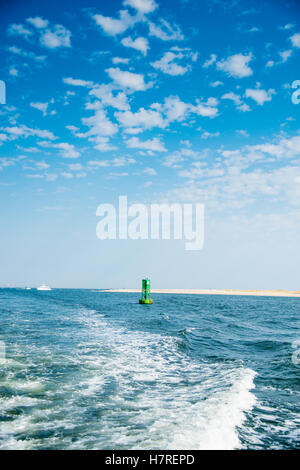 Grüne Navigation Boje in Sandy Hook, New Jersey Stockfoto