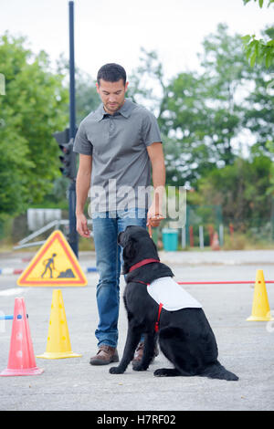 Hundetrainerin und sein Hund Stockfoto