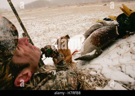 Wasservögel Jagd im winter Stockfoto